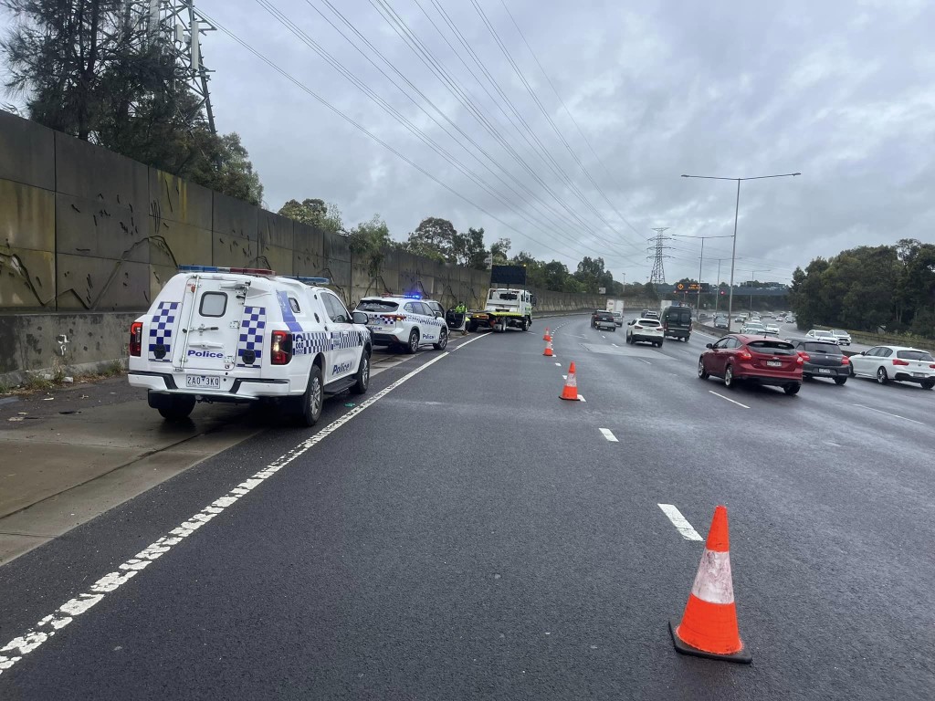 澳洲女子在高速公路開車開到一半驚見腿邊有蛇。    Melbourne snake control 