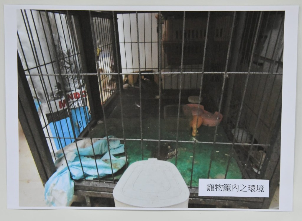 警方展示涉案物品。