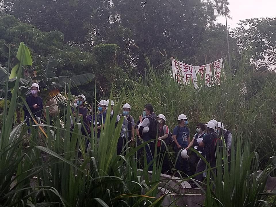 橫洲鳳池村今收地。 橫洲綠化帶發展關注組圖