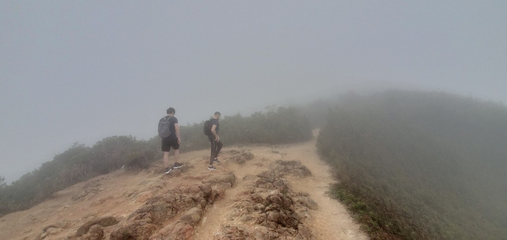 龍脊山上大霧，能見度低至20至30米。楊偉亨攝