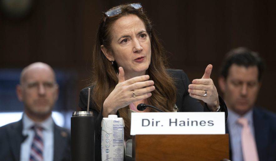美國國家情報總監埃夫麗爾·海恩斯（Avril Haines）。