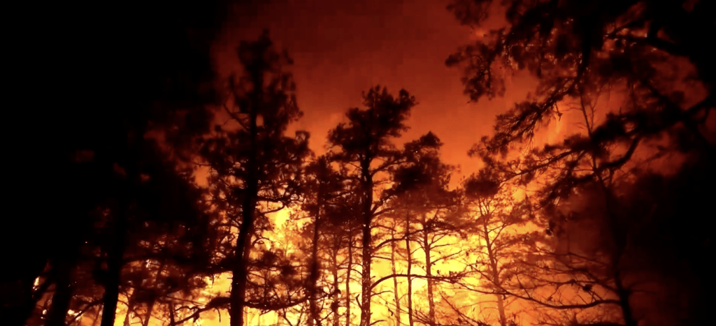 美新澤西爆近20年來最嚴重山火，至少13,250英畝（約54平方公里）土地被焚毀。路透社