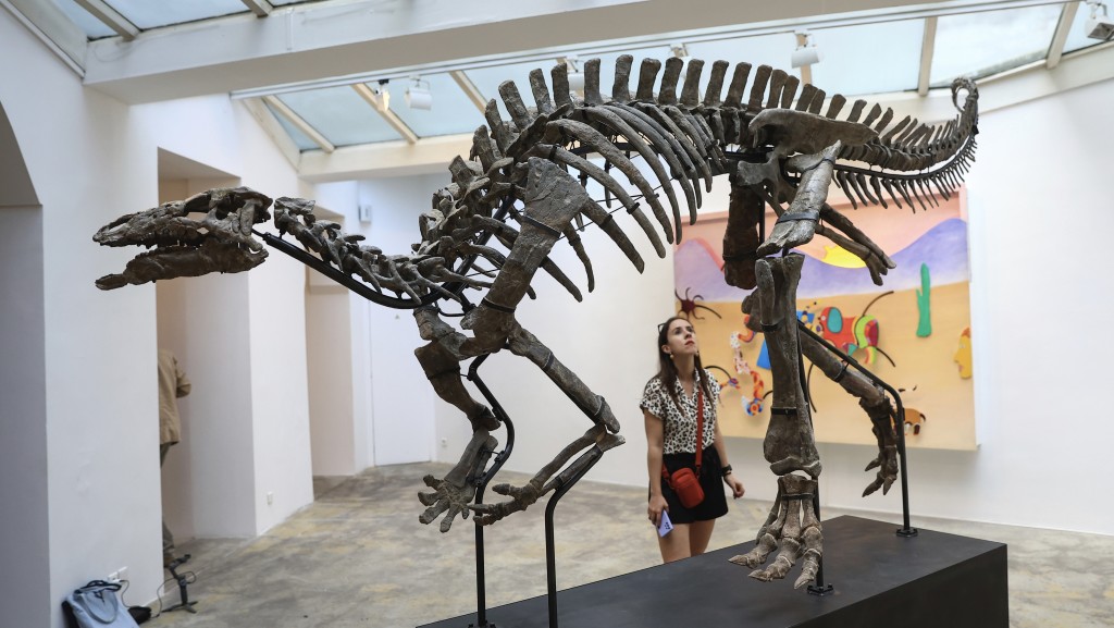 侏罗纪晚期弯龙“巴里”骨架在巴黎Philippe Vallois艺廊展出。 美联社