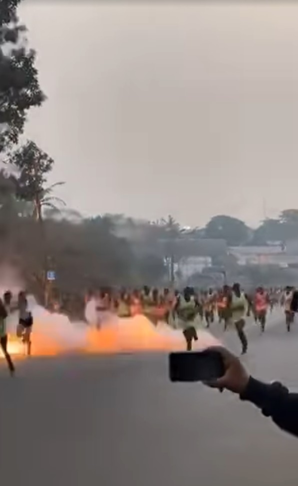 瞬間火光熊。影片截圖