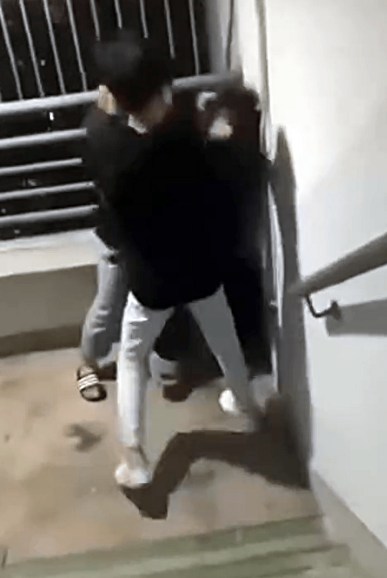 兩男童瘋狂襲擊少女。網上截圖