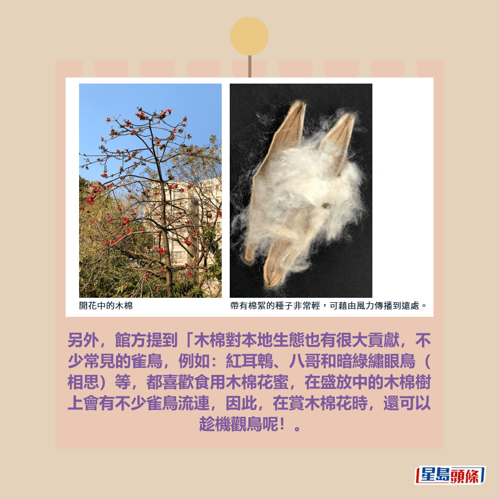 香港科學館網頁截圖