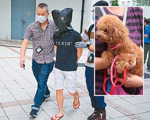 警方當日拘捕涉案人士並救出「肉參」(小圖)。資料圖片
