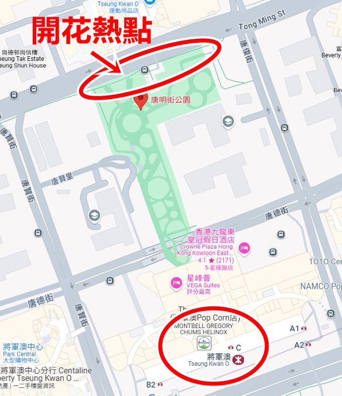 唐明街公園的開花熱點。Google地圖截圖  ​