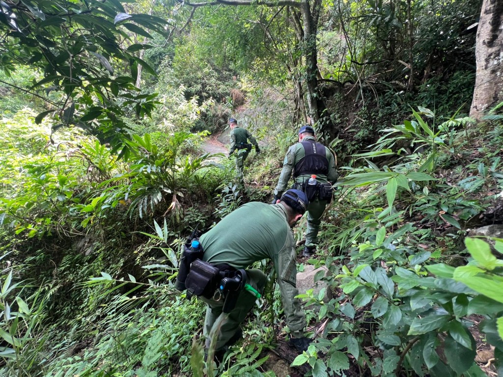 警方在香港島山頂郊區一帶鄰近住宅的山坡及附近密林進行高調巡邏及搜捕行動。 警方在香港島山頂郊區一帶鄰近住宅的山坡及附近密林進行高調巡邏及搜捕行動。