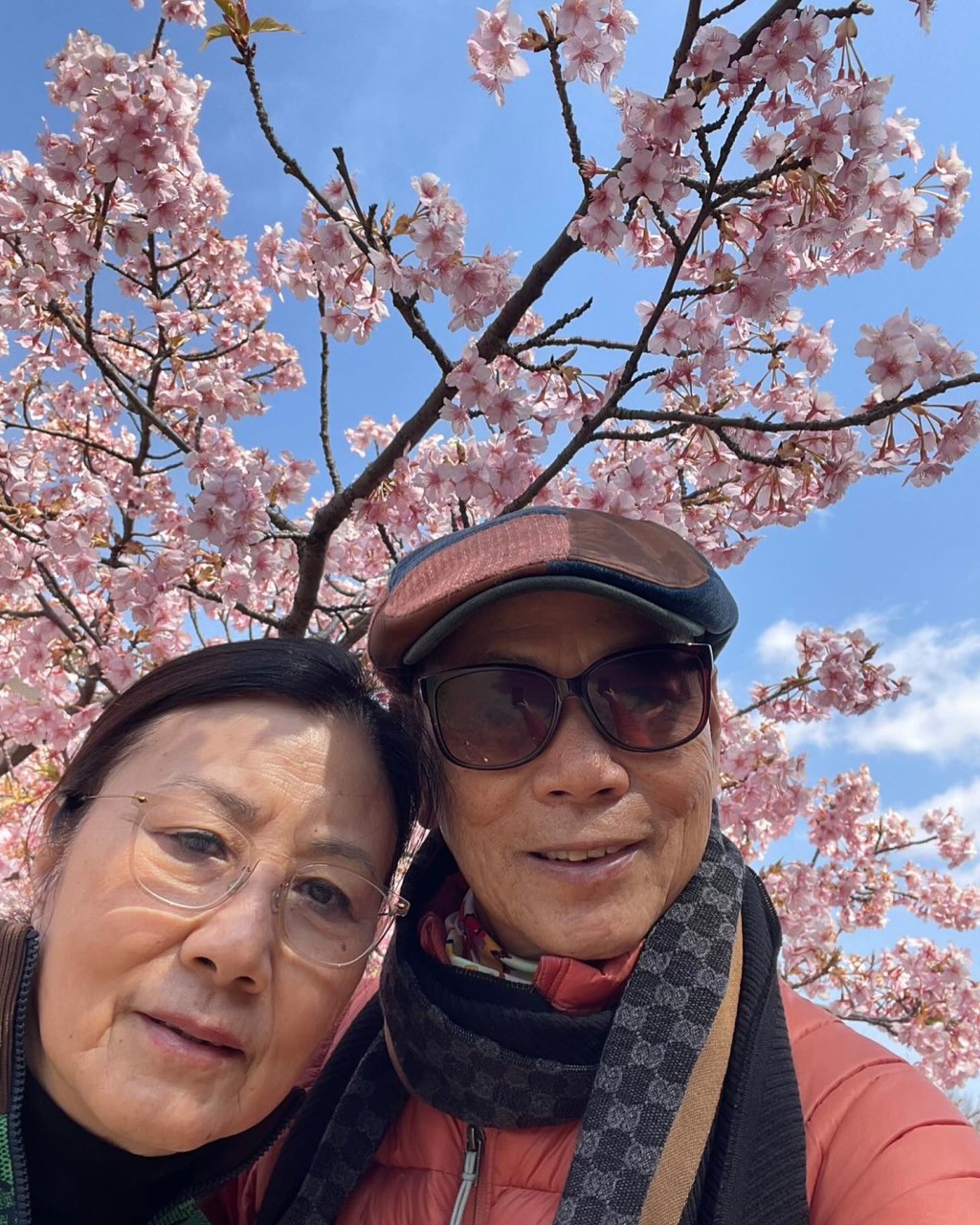 汪明荃与罗家英经常外游，两人早前到日本赏樱花。