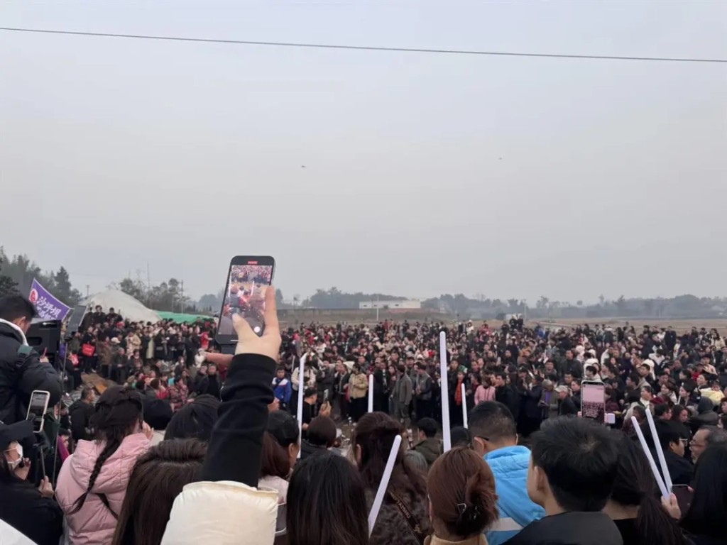 殺年豬成為網絡熱話,數以萬計的網民湧往重慶合川。極目新聞 殺年豬成為網絡熱話,數以萬計的網民湧往重慶合川。極目新聞