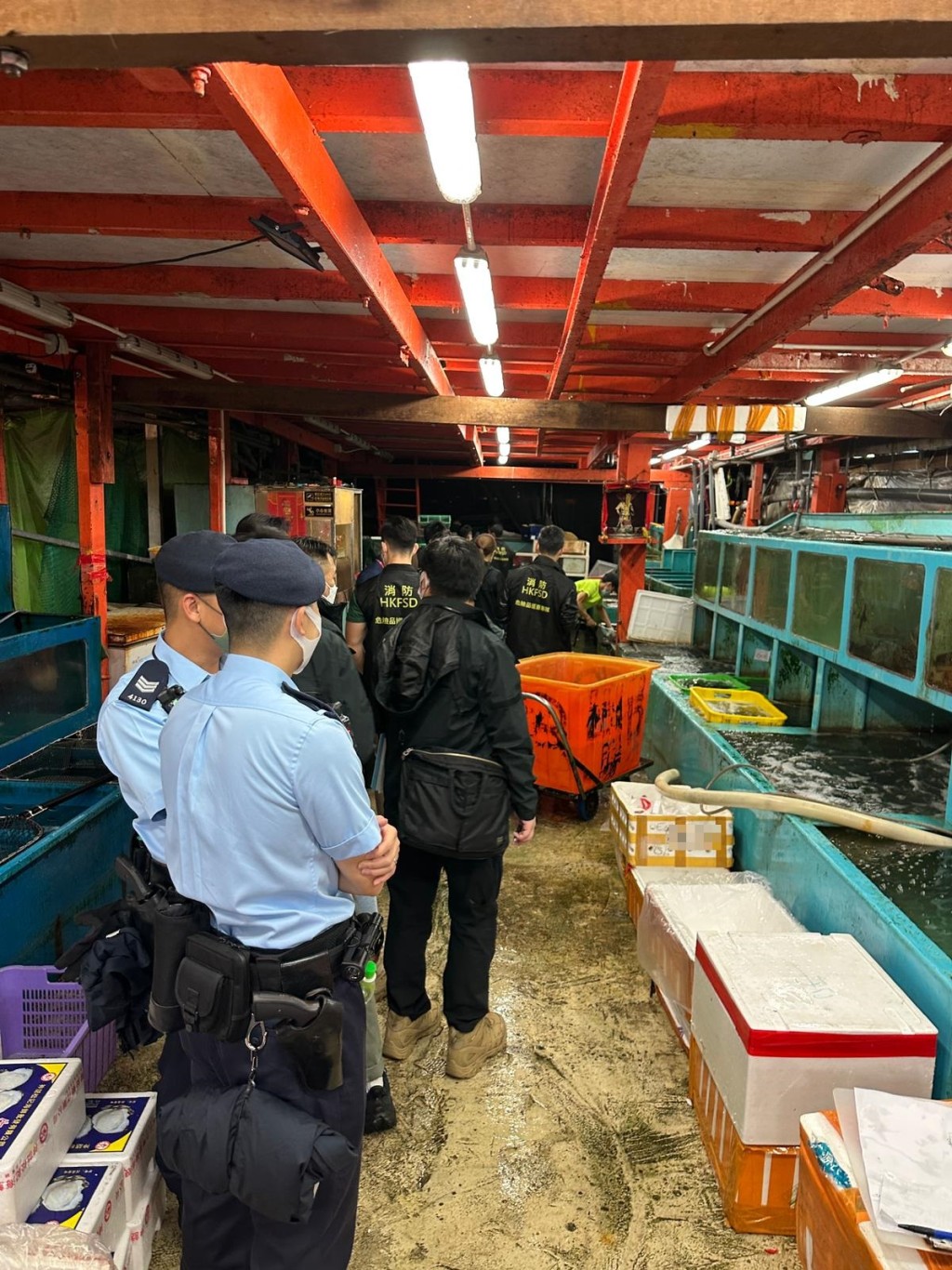 人员在香港仔一鱼市场内巡查了32间鱼类批发商。
