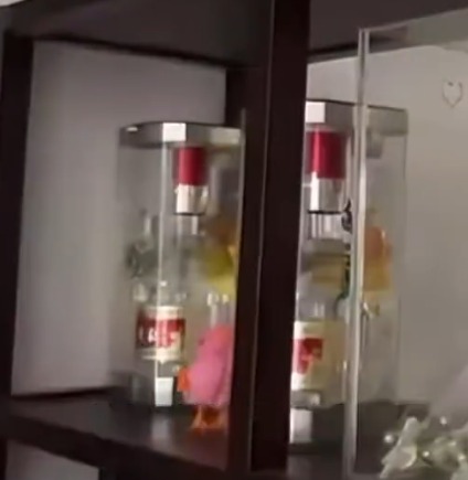 客厅柜上陈列高价名酒。逐浪新闻