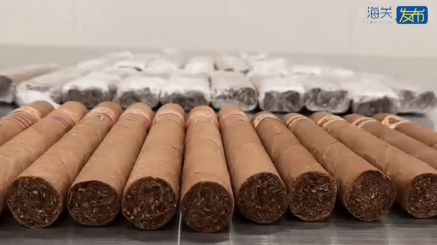 北上「水貨客」福田口岸被截查,褲檔藏48支雪茄。 北上「水貨客」福田口岸被截查,褲檔藏48支雪茄。