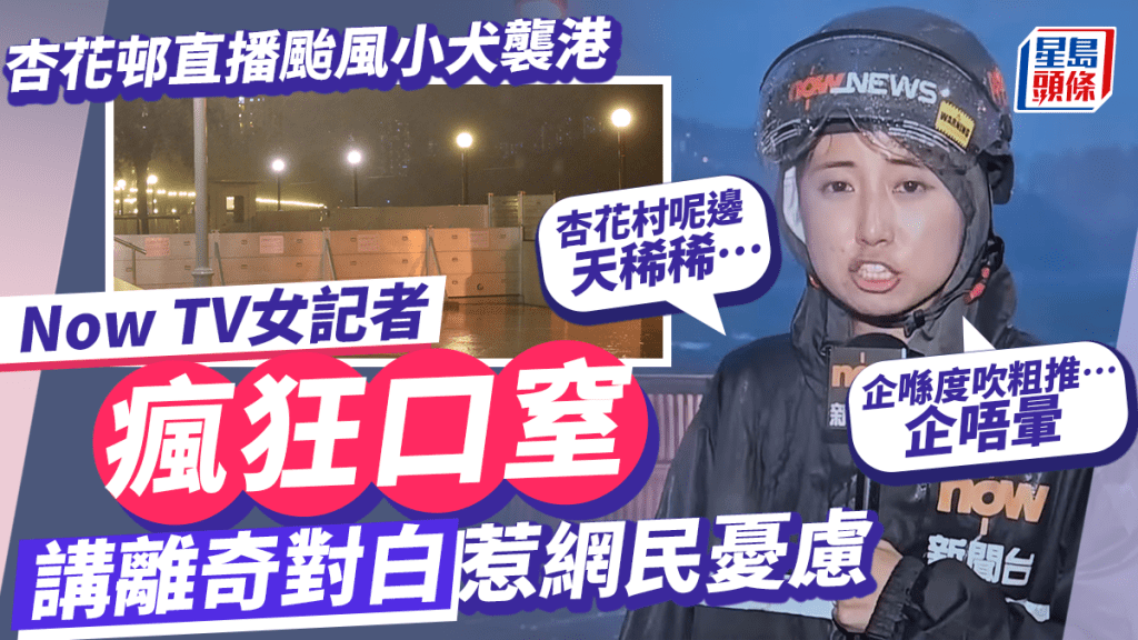 颱風小犬丨Now TV女記者車軒珩瘋狂口窒直擊颳風吹襲實況 網民:好凍定好驚