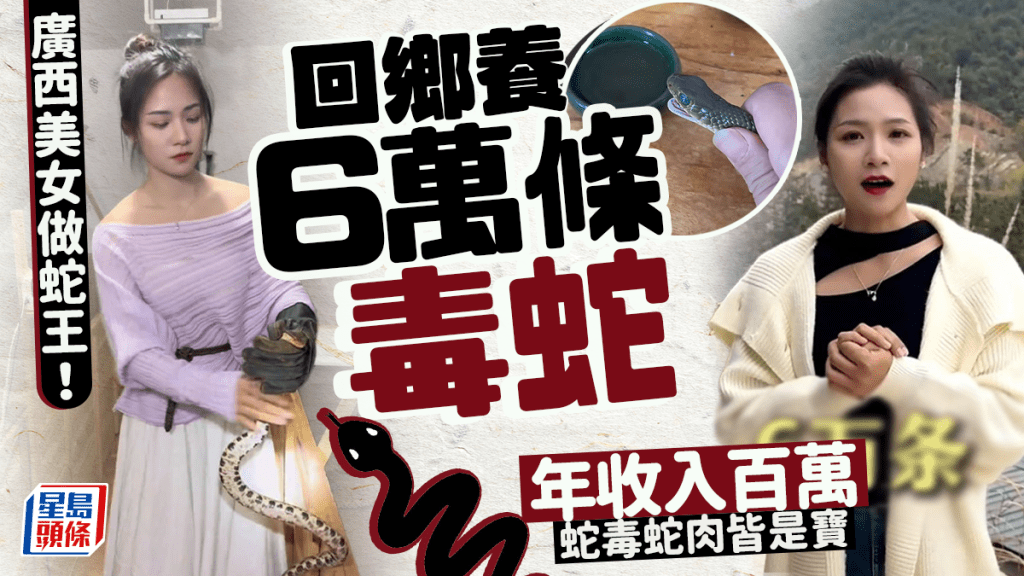 美女蛇王︱95後大學生棄做OL轉跑道  養6萬毒蛇靠周身寶年收百萬