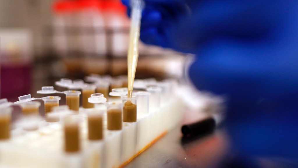卡加里大学的科研人员正在制作粪菌药丸。 美联社