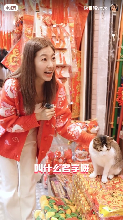 陳自瑤見到貓貓好開心。