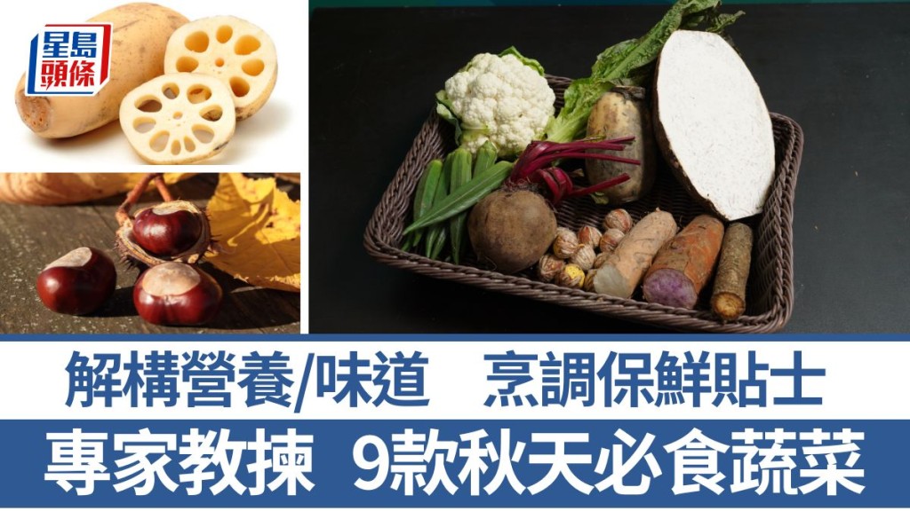 9款秋天必食蔬菜 烹調貼士保鮮味  講解味道/揀法/營養 蓮藕/萵筍/秋葵/紅菜頭/芋頭/椰菜花/牛蒡/栗子/紫淮山｜食材知識