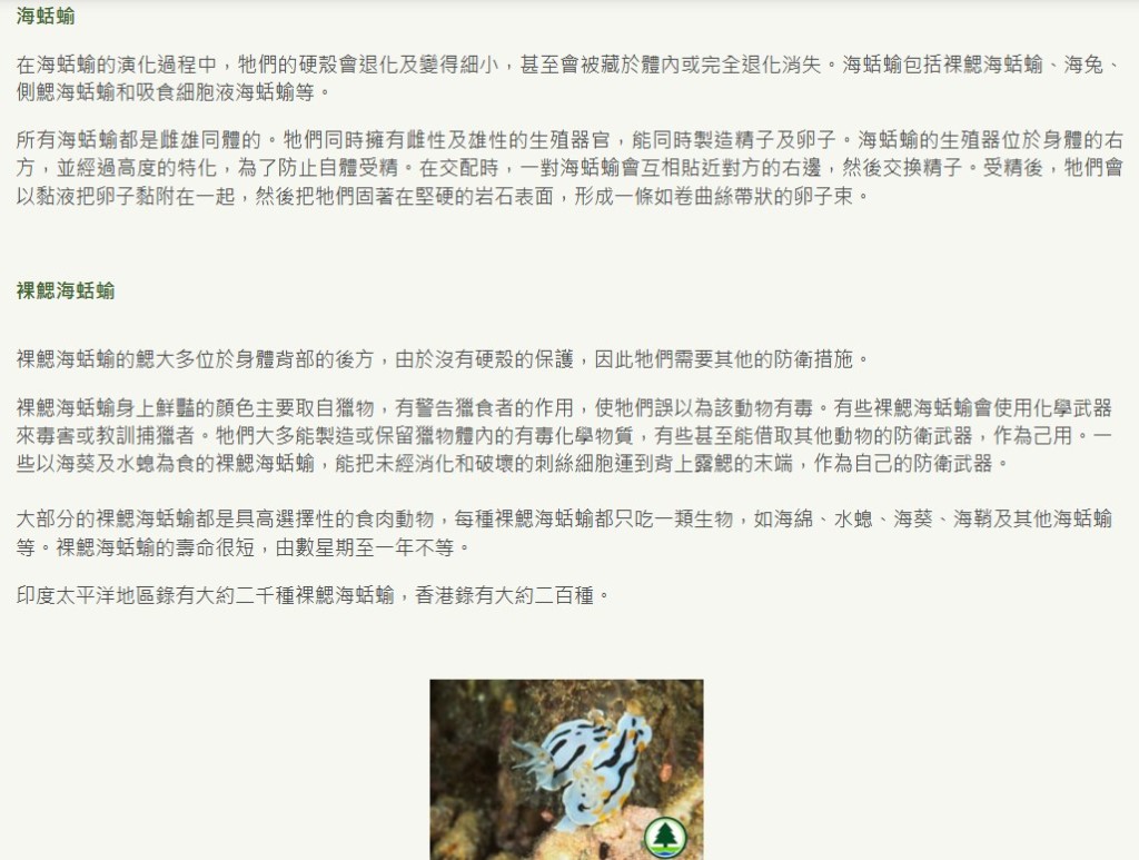 漁護署網頁內的「香港的珊瑚及其他海洋生物」有介紹海蛞蝓。漁護署網頁截圖