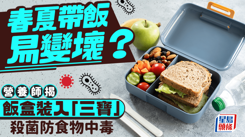 春夏帶飯易變壞？營養師揭飯盒裝入「三寶」殺菌防食物中毒