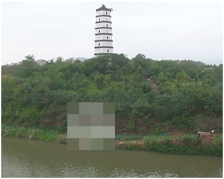赣州大桥附近钓到怪鱼。网上图片