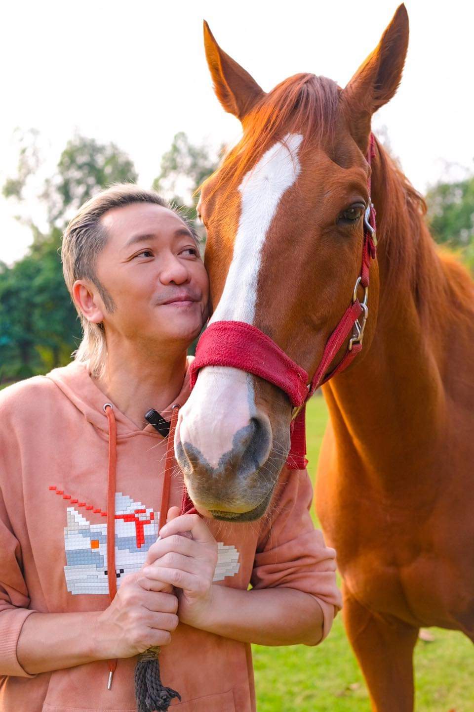 蘇志威感激太太為安排「駿王」的退役生活而盡心盡力。相片來源:蘇志威劉小慧Facebook 蘇志威感激太太為安排「駿王」的退役生活而盡心盡力。相片來源:蘇志威劉小慧Facebook