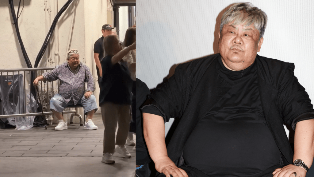 62歲林雪睇譚詠麟演唱會步履蹣跚  撐拐杖離場行幾步要坐低休息  暴肥影響行動能力？