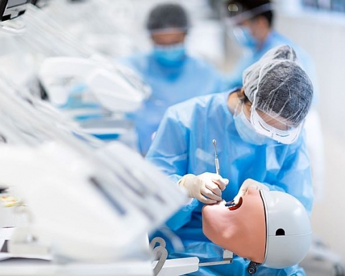 香港大學牙醫學士課程的學生,會於學院所屬的教學醫院——菲臘牙科醫院,上課及進行實習。