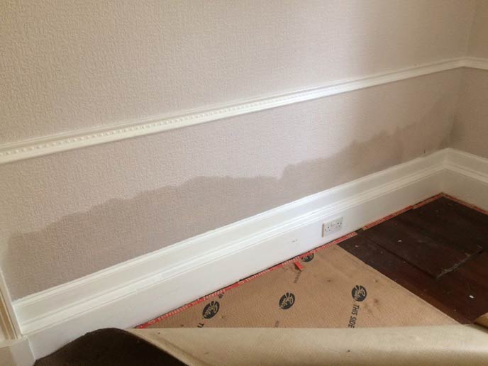  通常墙壁底部会出现潮湿问题，有时更可以看到墙上有「Tide mark」。