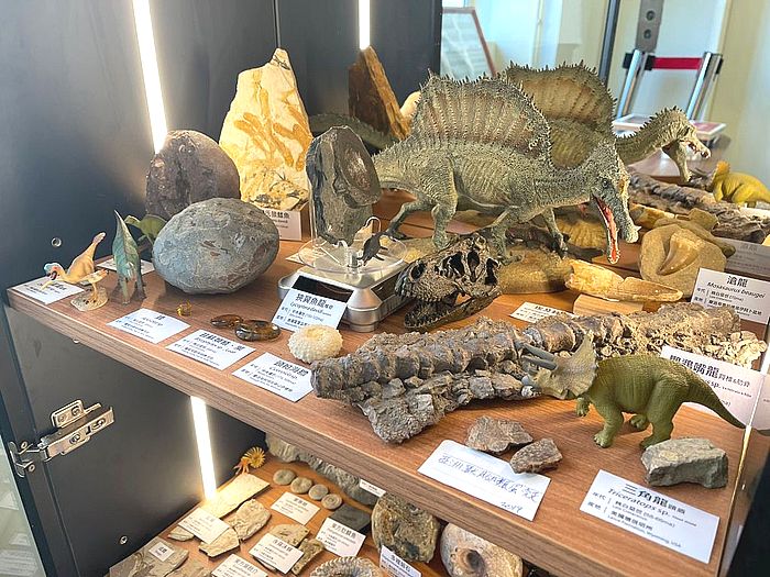 「上古生物展區」的展品非常豐富。