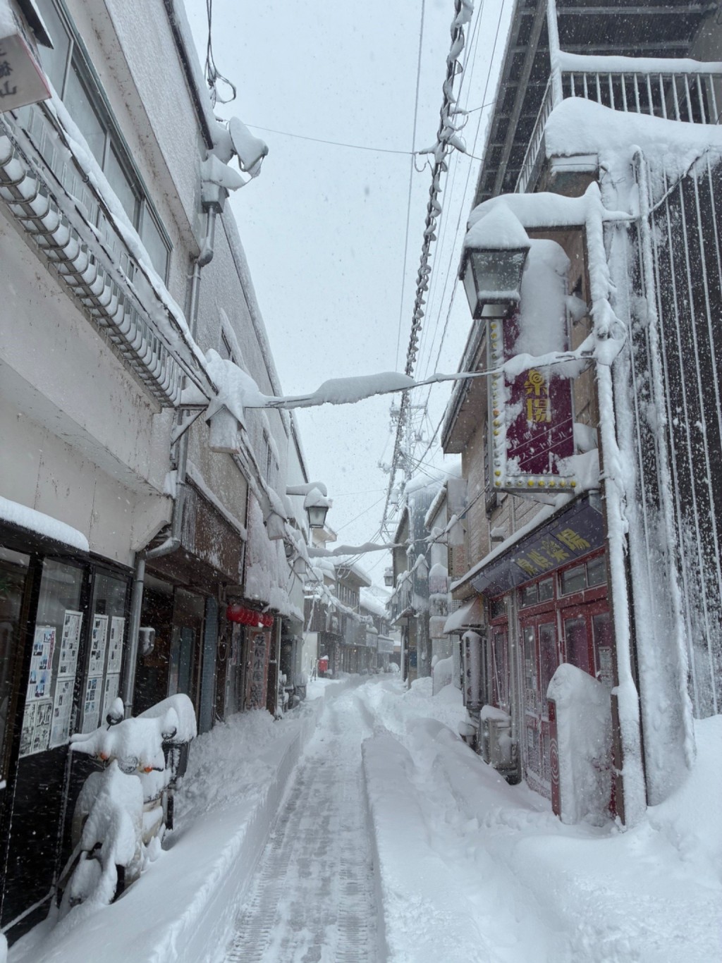 日本多地遭暴雪侵襲，交通大規模中斷。X@qoozaemon