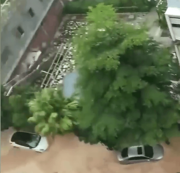 龍華區在昨天的暴雨侵襲下，數十輛汽車被泡水中。