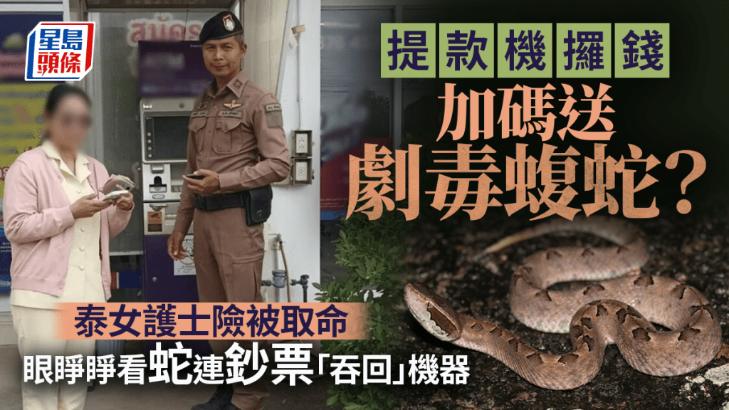 泰國提款機竟吐出毒蛇 被咬恐有性命之虞 女護士取錢險被取命