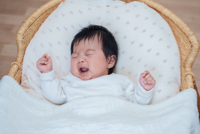 (图片来源:PhotoAC) (图片来源:PhotoAC)