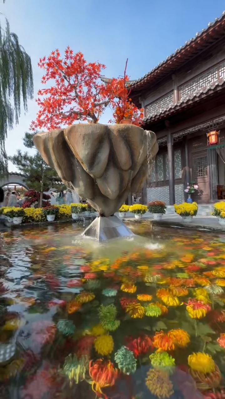 開封水下浮菊打破賞花只可在地上的固有思維，大獲好評。