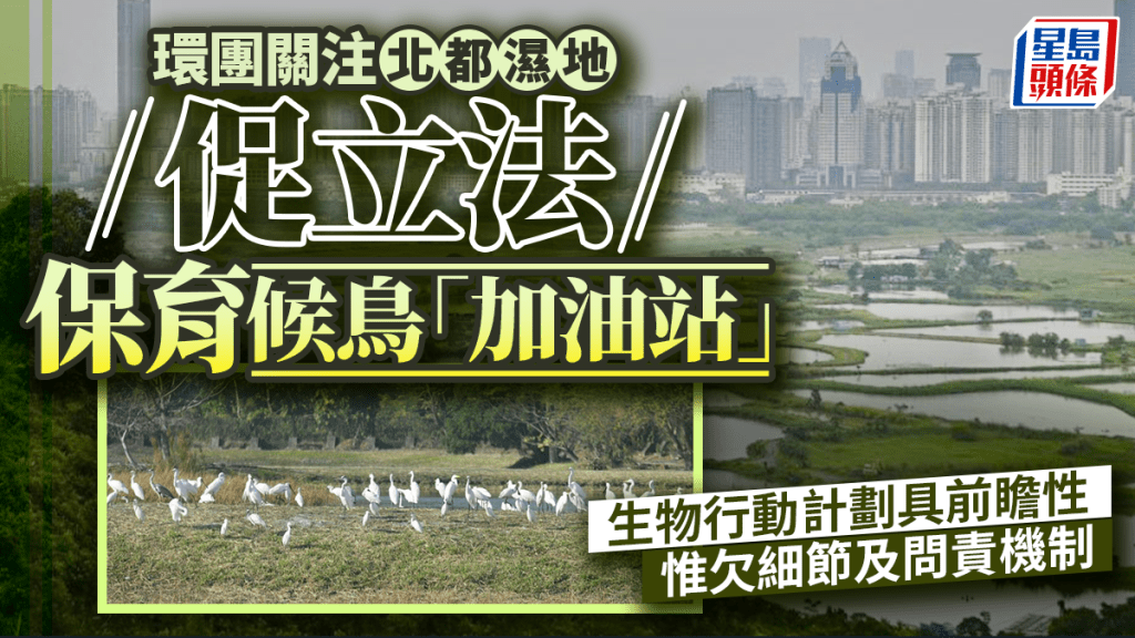 政府去年底公布香港《生物多样性策略及行动计划》2035，阐明未来10年本港保护自然生态和可持续发展的策略及行动纲领。