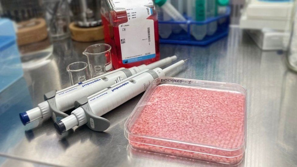 南韓科學家研發肉質米，含培育牛肉，可以補充環保蛋白質。網上圖片