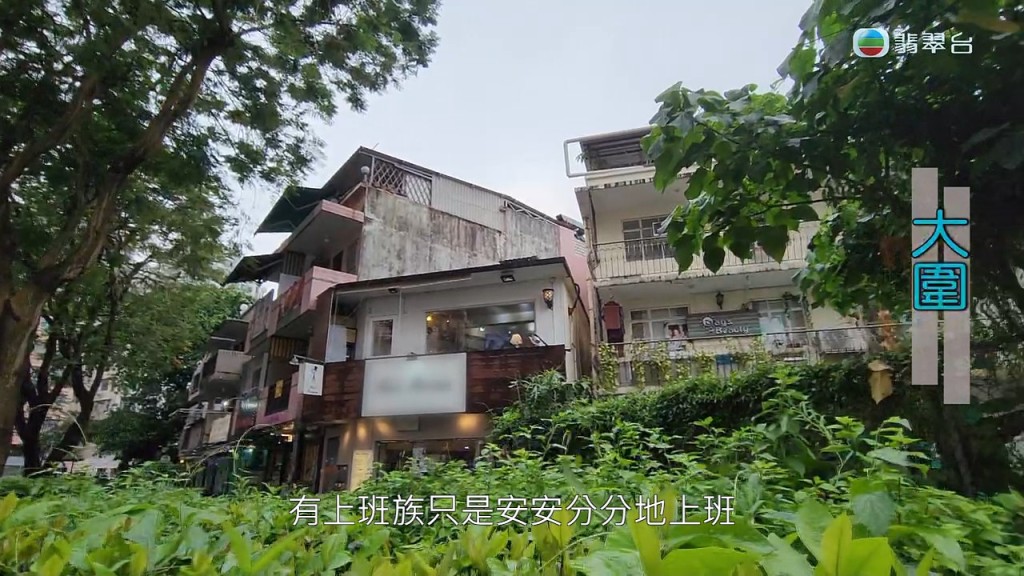 TVB节目《东张西望》今日（10日）报道一宗大围狂汉疯狂滋扰发型屋个案。