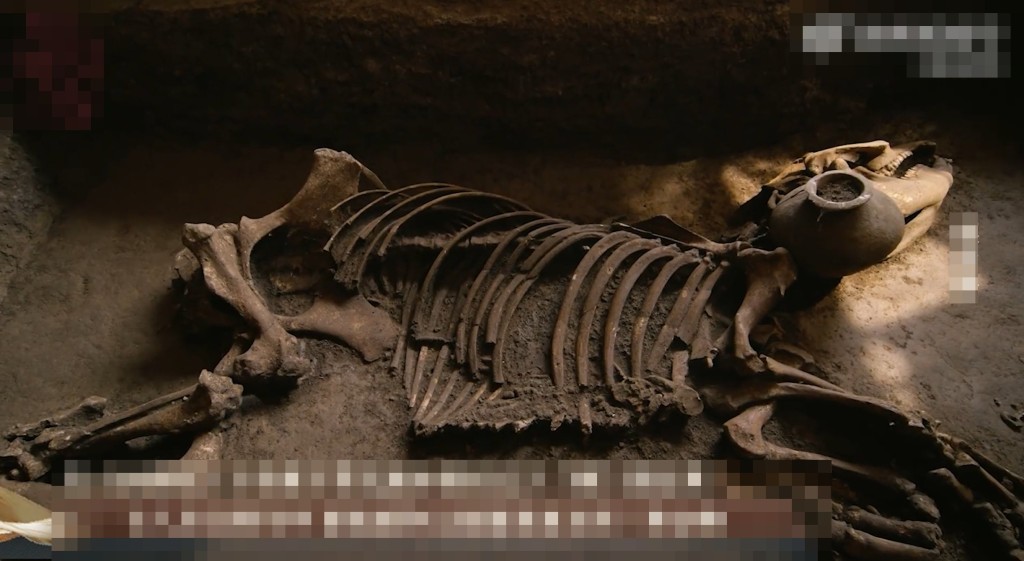 霸陵发现的貘骸骨。（陕西广播电视台）