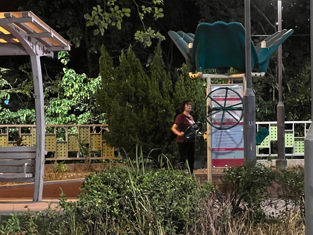 晚飯時間過後，青衣街坊如常落街散步消遣。曾志恆攝