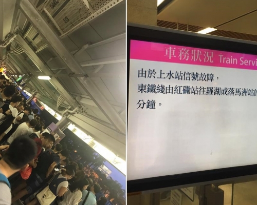 網民Mark Poon、Enzo Tsang攝。