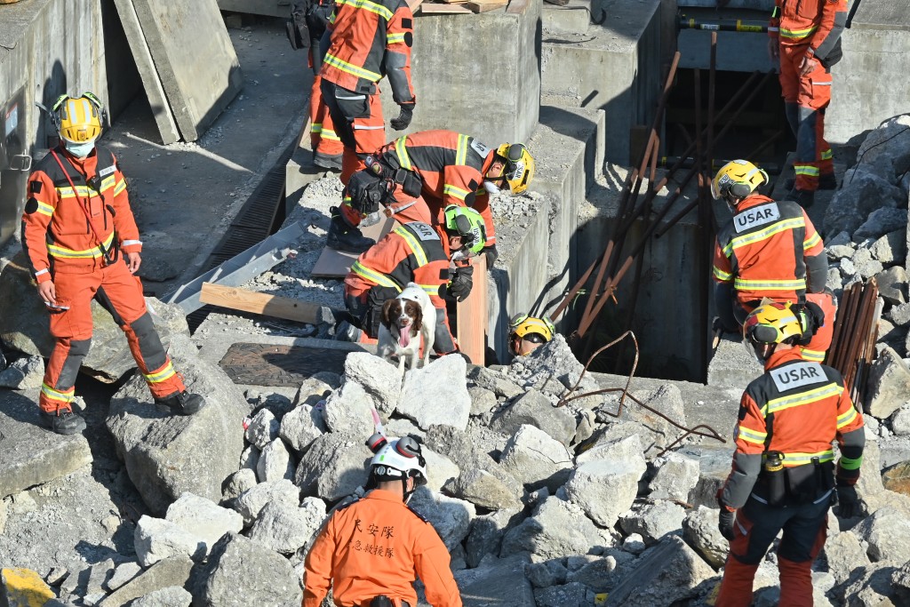 操练模拟在海外地震后建筑物倒塌的灾场中进行搜救。黄颂伟摄