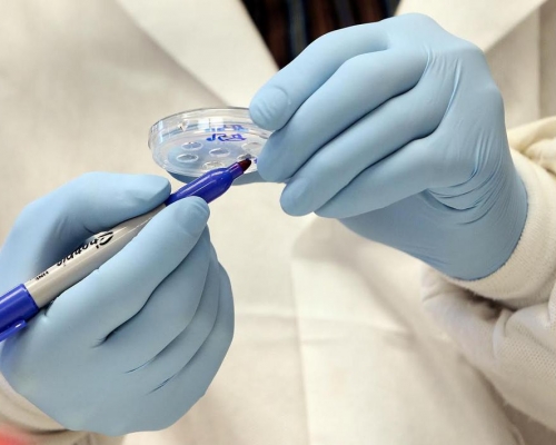 目前山谷热未有疫苗或特效药治疗。网图
