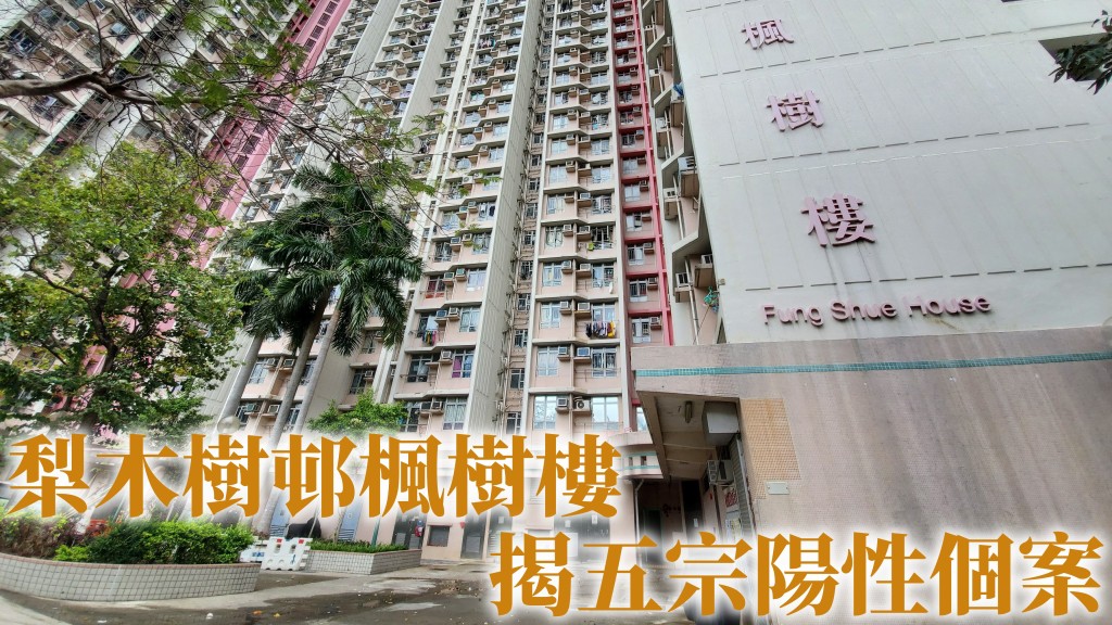 梨木樹邨楓樹樓揭五宗陽性個案。資料圖片