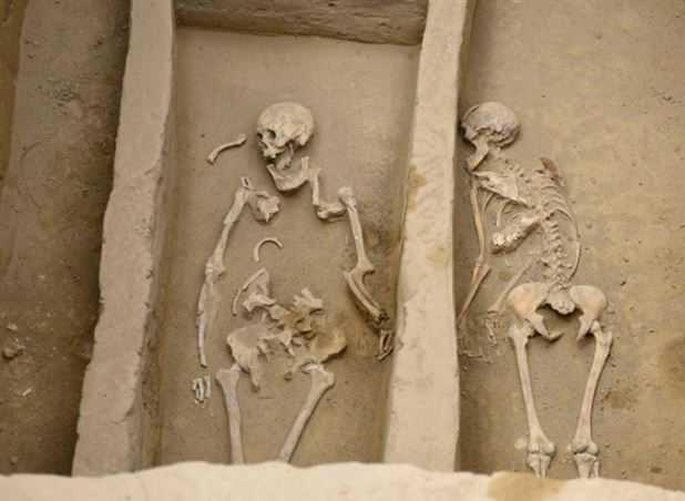 考古人员于陕西寨山遗址发现活人殉葬的墓地。