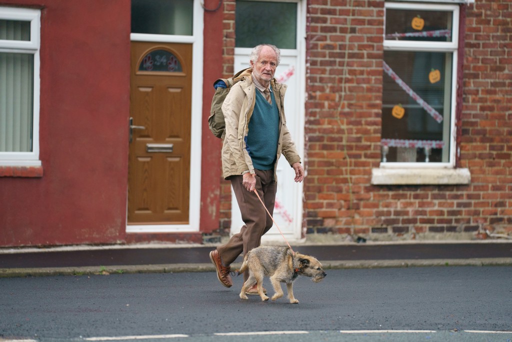 Harold遇到流浪狗，一人一狗互相扶持。