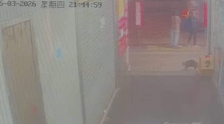 根據閉路電視紀錄，昨晚約9時45分，「阻B」往太子方向行走後便失去蹤影。