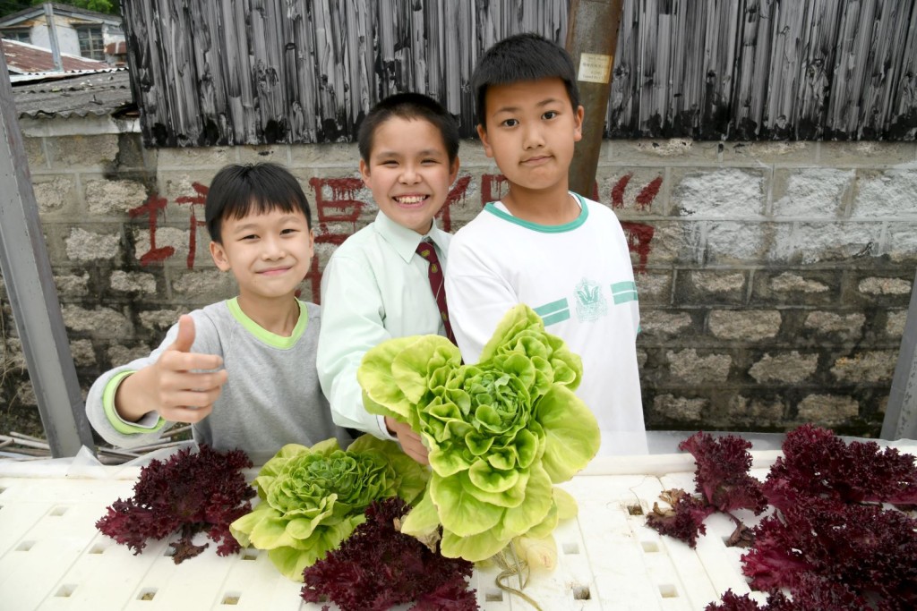 三位小發明家希望「智家種」日後能夠推出市場，令市民可以方便、環保地食到新鮮健康的蔬菜！