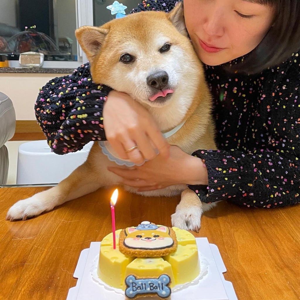阿布獲狗主慶祝生日。(ig圖)